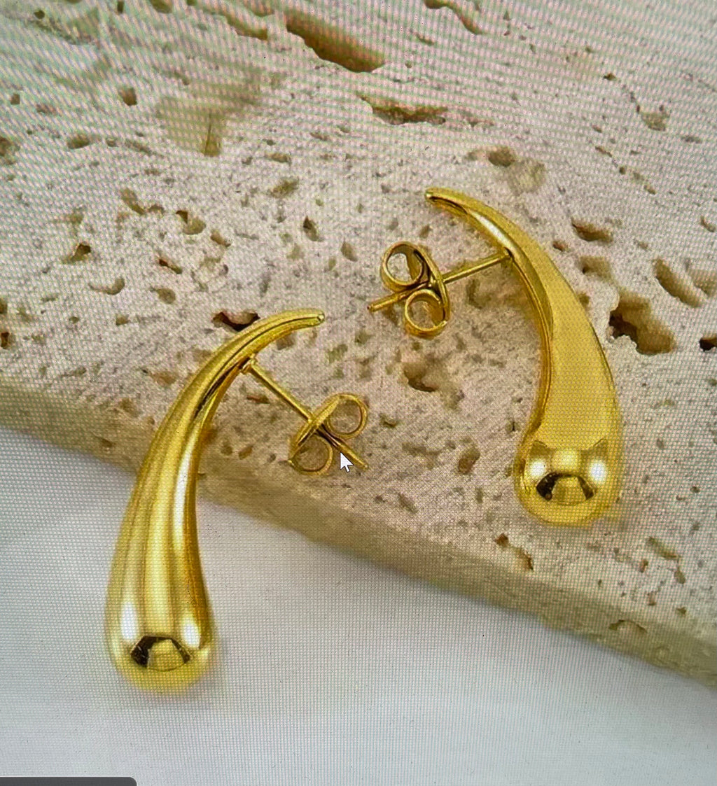 Stainless Steel 18K Gold Plated Ear Studs