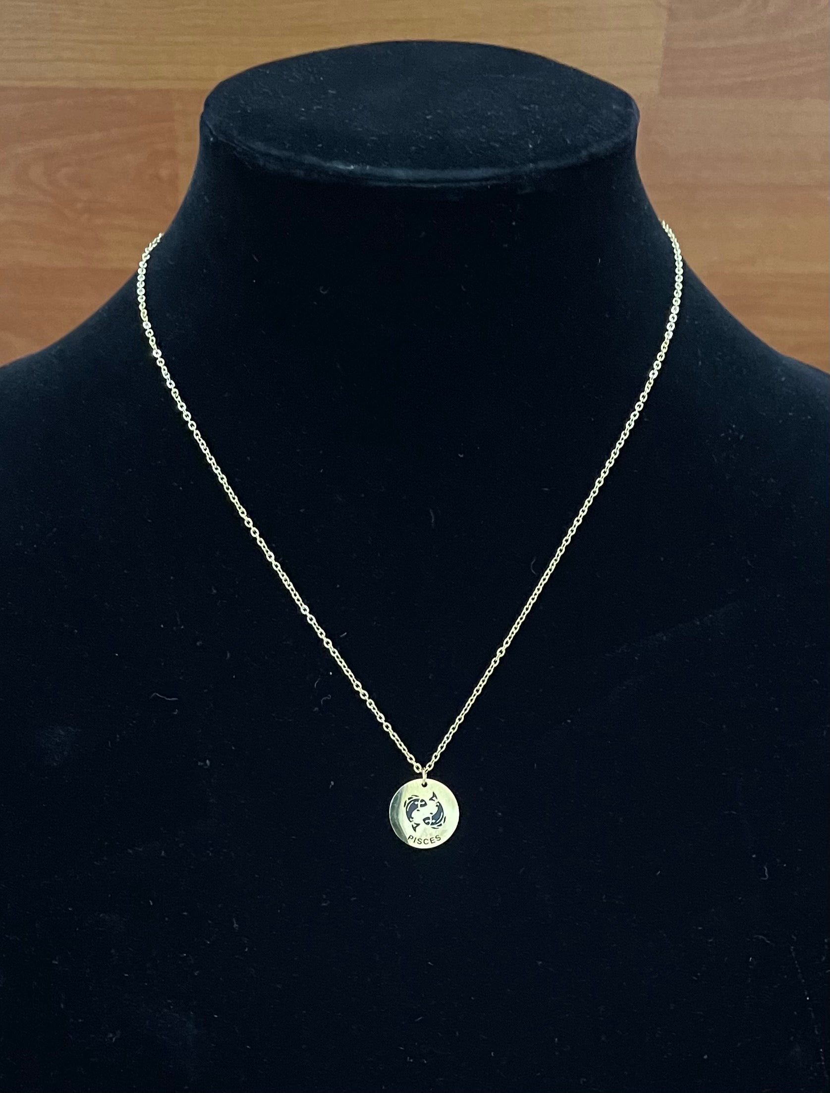 Zodiac Necklaces in Stainless Steel