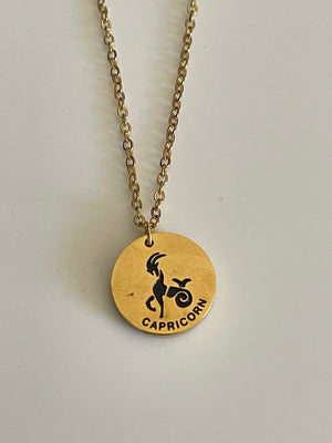Zodiac Necklaces in Stainless Steel