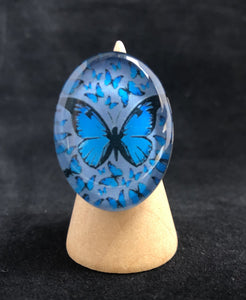 Stain Steel Resine Ring Butterfly Blue